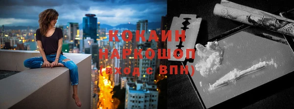 крисы Новодвинск