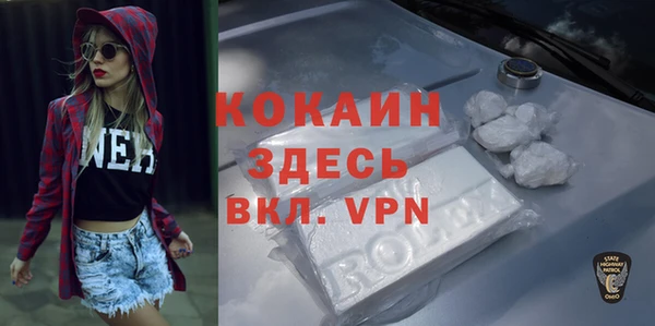 крисы Новодвинск
