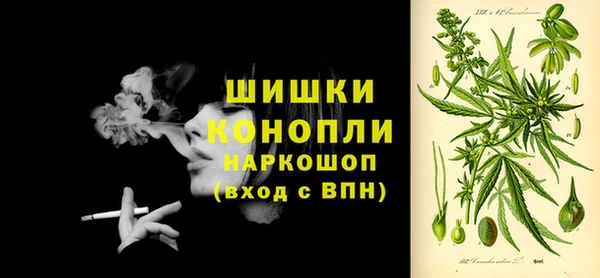 крисы Новодвинск