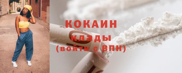 крисы Новодвинск