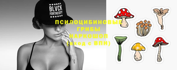 герыч Новозыбков
