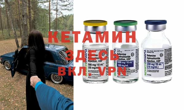 крисы Новодвинск