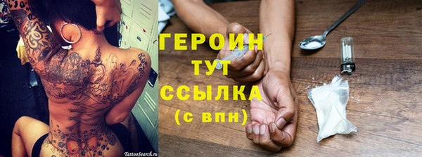 крисы Новодвинск